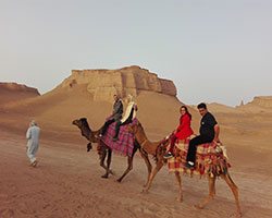 camel kalouts